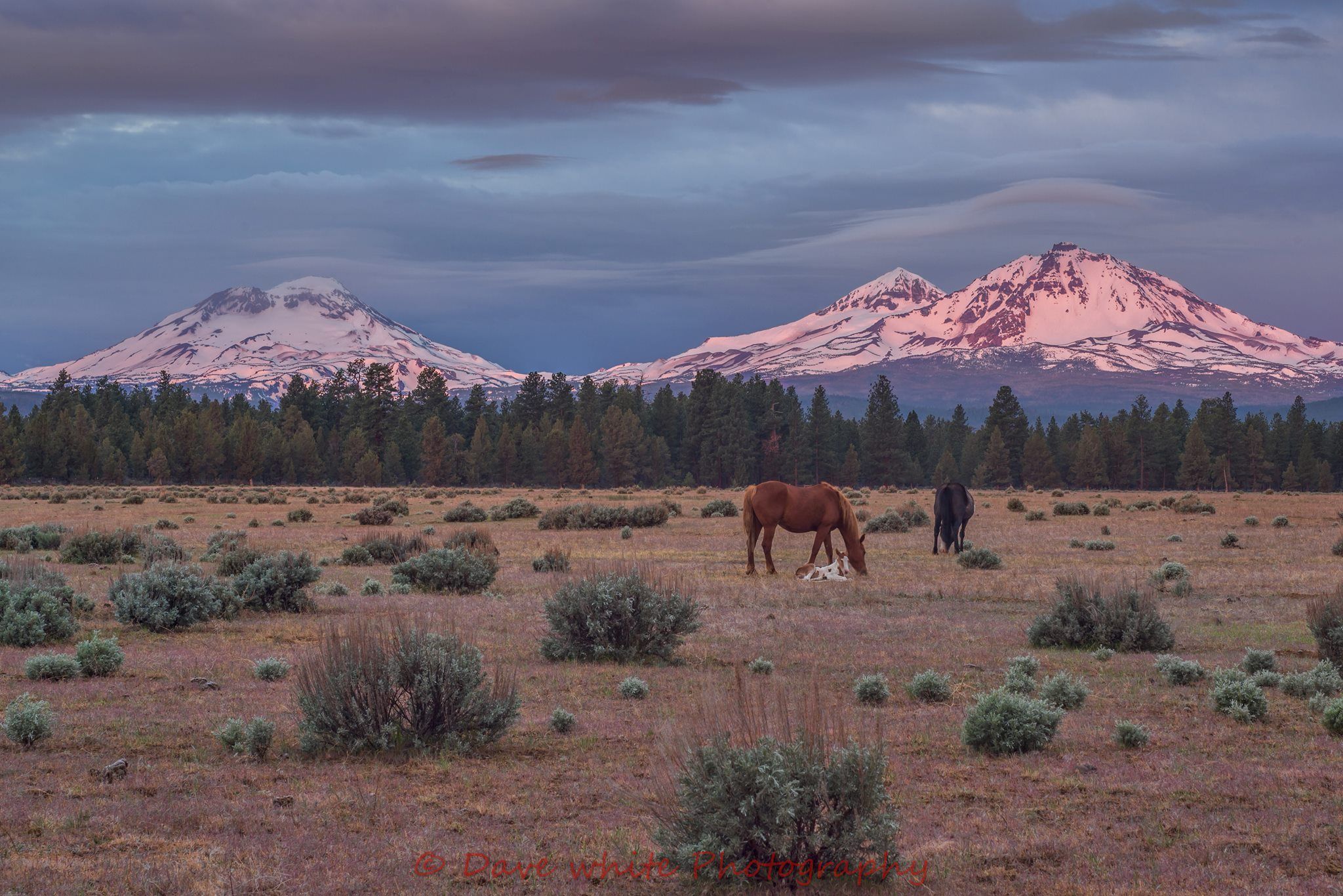 Photo of  the Three Sisters mountains.
